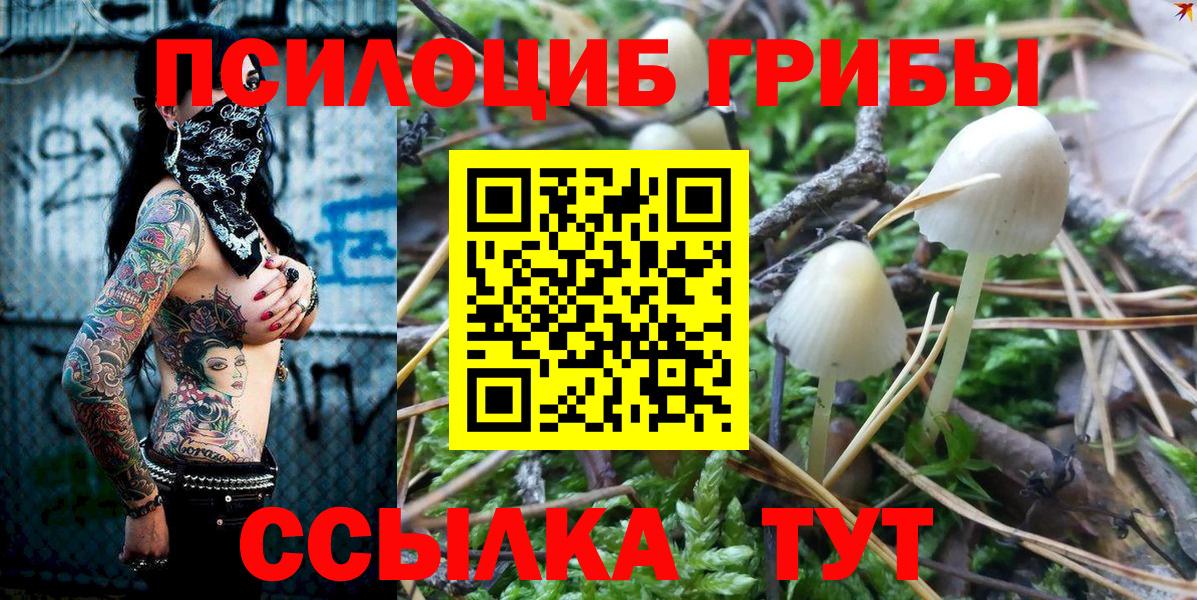 Псилоцибиновые грибы ЛСД  Галлюциногенные грибы Magic Shrooms  Пушкино  Вход с VPN 